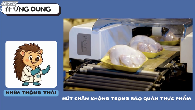 Học vẽ môn bắn cung - Ảnh 4.