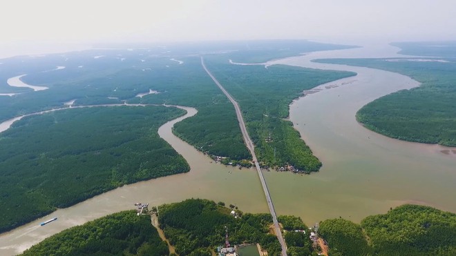 Triển khai chương trình hành động “Vì một Cần Giờ xanh” - Ảnh 2.