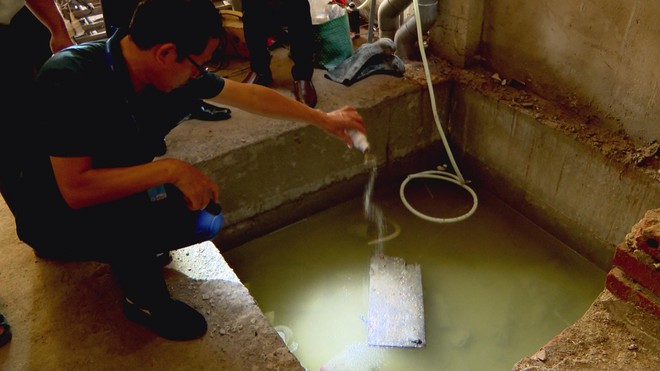 TP.HCM phát động chiến dịch phòng, chống sốt xuất huyết và Chikungunya- Ảnh 11. TP.HCM phát động chiến dịch phòng, chống sốt xuất huyết và Chikungunya- Ảnh 11.