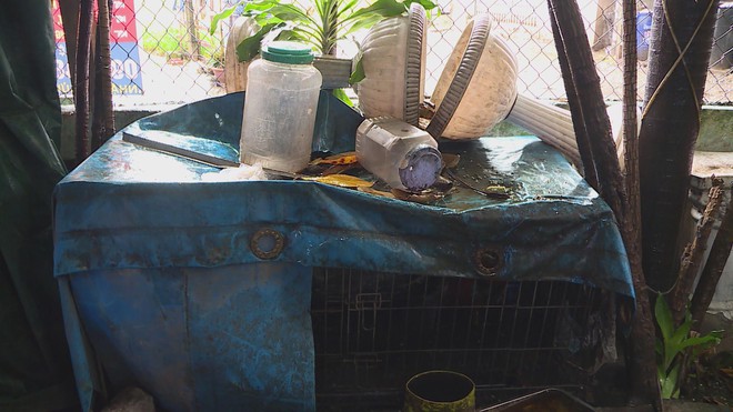 TP.HCM phát động chiến dịch phòng, chống sốt xuất huyết và Chikungunya- Ảnh 6. TP.HCM phát động chiến dịch phòng, chống sốt xuất huyết và Chikungunya- Ảnh 6.
