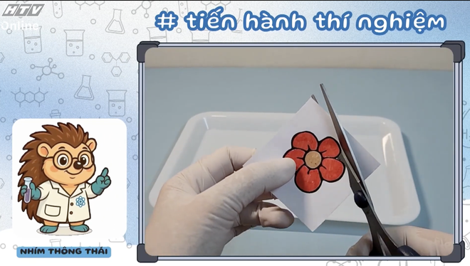 Học vẽ môn cưỡi ngựa - Ảnh 9.