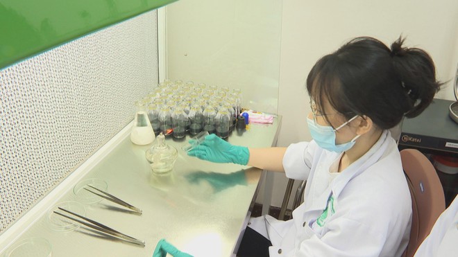 Các nhà khoa học nữ Việt Nam khám phá tiềm năng trong kỷ nguyên khoa học hiện đại- Ảnh 8.