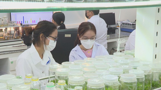 Các nhà khoa học nữ Việt Nam khám phá tiềm năng trong kỷ nguyên khoa học hiện đại- Ảnh 10.