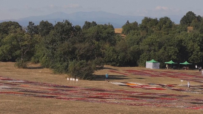 Triển lãm các tấm thảm cổ của Bulgaria - Ảnh 3.
