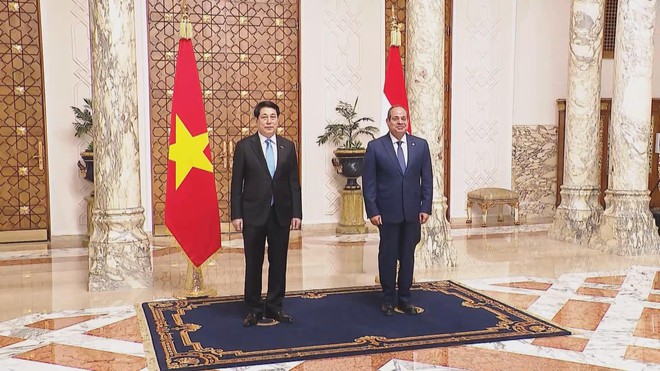 Chủ tịch nước Lương Cường thăm cấp Nhà nước Cộng hòa Ai Cập: Mở ra giai đoạn hợp tác mới - Ảnh 3.