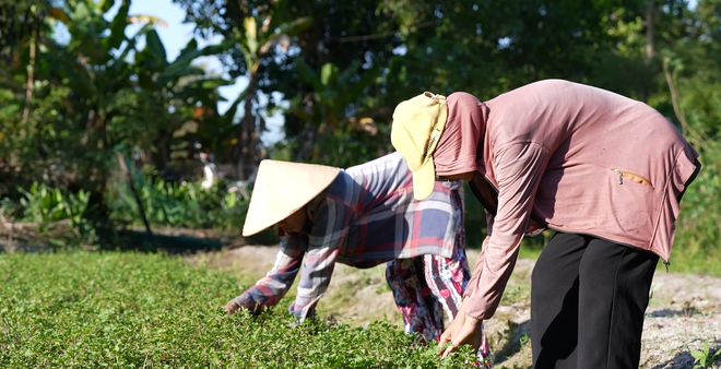 Yến Nhi muốn tặng áo hồng cho mẹ, mong cuộc sống tươi sáng hơn - Ảnh 6.