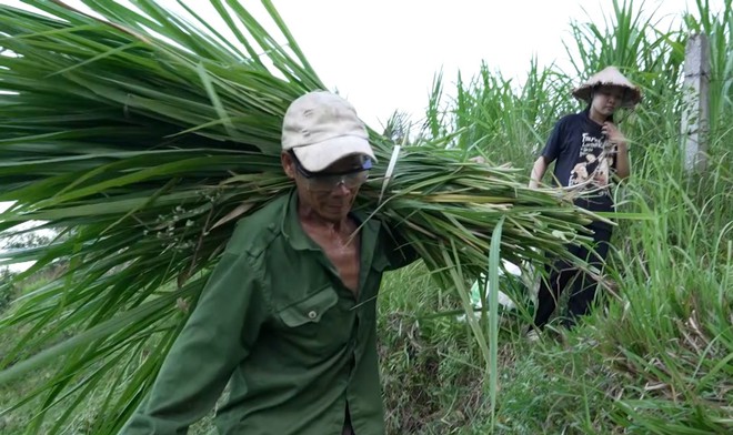 Em Phi Dung: Ba em bệnh nặng, mẹ liệt ngửa người, em gái ba lần mổ tim - Ảnh 3.