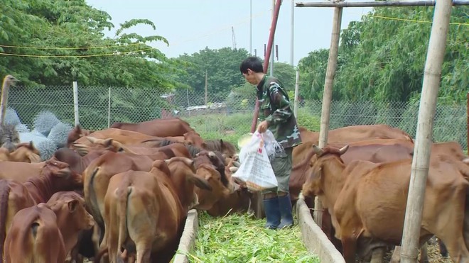 TP.HCM: Hơn 300 doanh nghiệp quốc tế tham dự triển lãm chăn nuôi, thúc đẩy chuyển đổi số - Ảnh 2.
