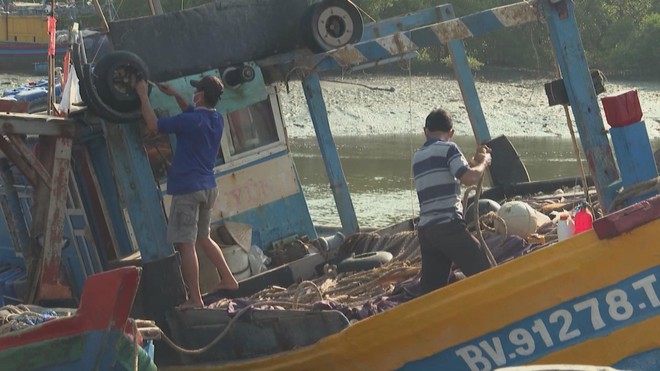 Giá hải sản giảm mạnh, ngư dân gặp nhiều khó khăn - Ảnh 1.