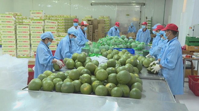 Thúc đẩy nghiên cứu phát triển trong lĩnh vực kinh tế xanh: Cầu nối từ doanh nghiệp đến giảng đường - Ảnh 1.