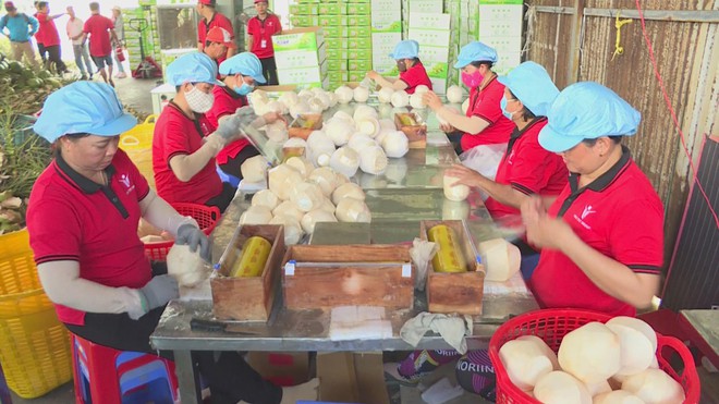Thúc đẩy nghiên cứu phát triển trong lĩnh vực kinh tế xanh: Cầu nối từ doanh nghiệp đến giảng đường - Ảnh 2.