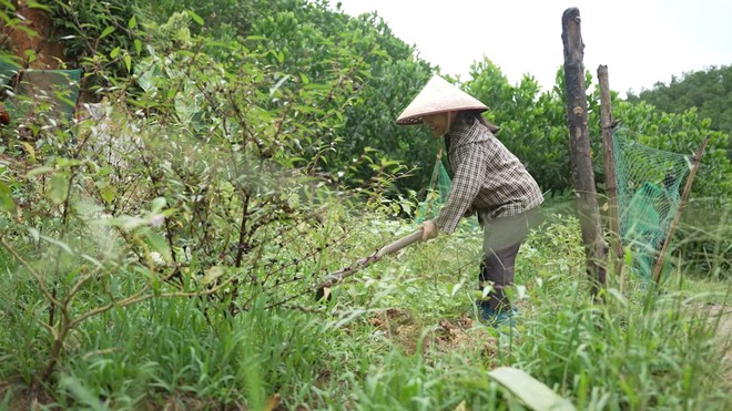 Vi Thị Viện: Cô bé dân tộc Thái mồ côi cha, chỉ mong mẹ khỏi bệnh - Mái ấm gia đình Việt - Ảnh 8.
