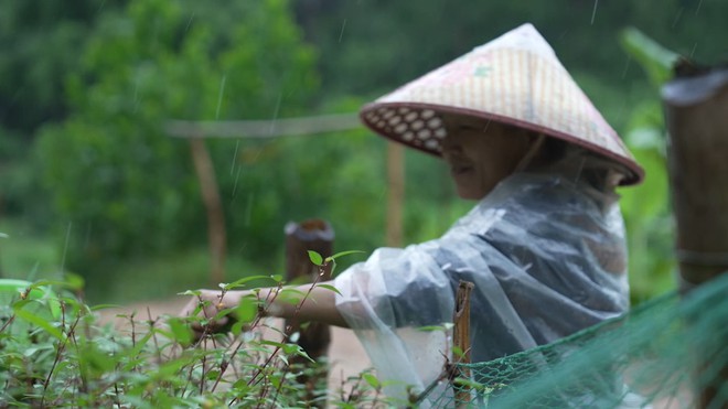 Vi Thị Viện: Cô bé dân tộc Thái mồ côi cha, chỉ mong mẹ khỏi bệnh - Mái ấm gia đình Việt - Ảnh 7.
