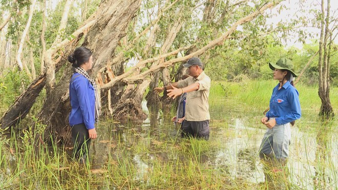 Hệ sinh thái Tràm Chim đang phục hồi mãnh liệt - Ảnh 3.