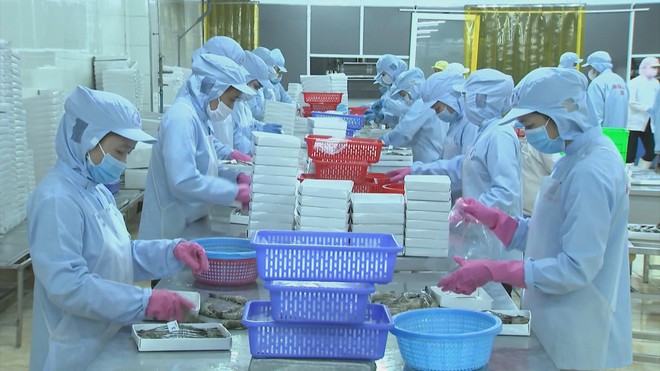 Tận dụng lợi thế cạnh tranh từ Hiệp định Thương mại Tự do- Ảnh 7.