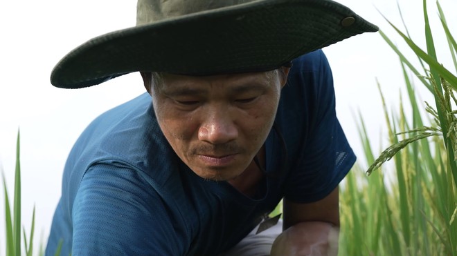 Cô bé 8 tuổi Hồ Thị Thùy mất mẹ, phụ giúp cha chăm sóc 3 em thơ - Mái ấm gia đình Việt - Ảnh 1.