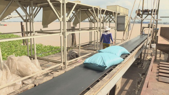 Ngành gạo Việt Nam ứng phó trước biến động nhập khẩu từ Philippines và Indonesia - Ảnh 2.