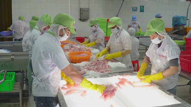 Tỷ lệ doanh nghiệp Việt tận dụng cơ hội FTA chỉ khoảng 40% - Ảnh 2.