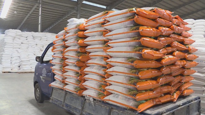 Ngành gạo Việt Nam ứng phó trước biến động nhập khẩu từ Philippines và Indonesia - Ảnh 3.