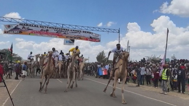 Cuộc đua lạc đà quốc tế Maralal tại Kenya - Ảnh 1.