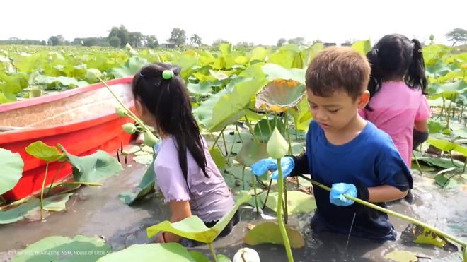 Liên hoan phim khoa học 2025: Ngôi nhà của các khoa học gia nhí- Ảnh 6.