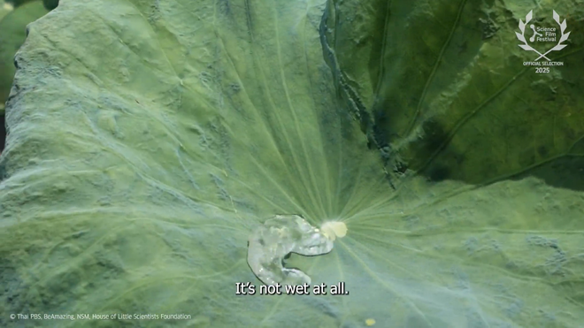 Liên hoan phim khoa học 2025: Ngôi nhà của các khoa học gia nhí- Ảnh 7.