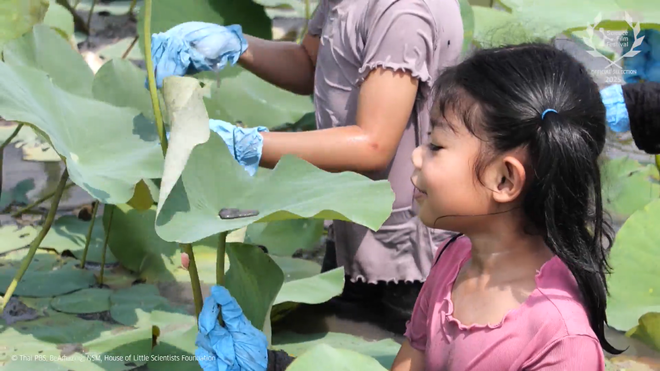 Liên hoan phim khoa học 2025: Ngôi nhà của các khoa học gia nhí- Ảnh 8.