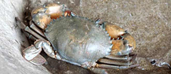 Liên hoan phim khoa học 2025: Ngôi nhà của các khoa học gia nhí- Ảnh 12.