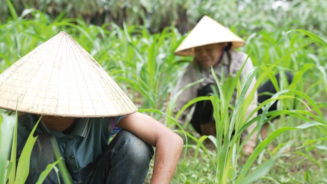 Khánh Dương: Cậu bé người Mường mất mẹ, chăm ông liệt giường, đỡ đần bà ngoại - Ảnh 3.