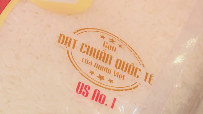 Xuất khẩu gạo Việt Nam: Thách thức ngắn hạn, cơ hội mở rộng thị trường dài hạn - Ảnh 3.