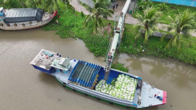 Xuất khẩu gạo Việt Nam: Thách thức ngắn hạn, cơ hội mở rộng thị trường dài hạn - Ảnh 4.