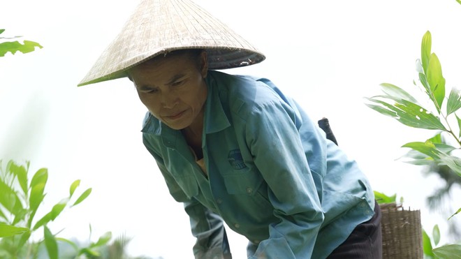 Nhật Đình: Cậu bé tự đào khoai ăn qua ngày, ước lớn nhanh để cứu cha - Ảnh 2.