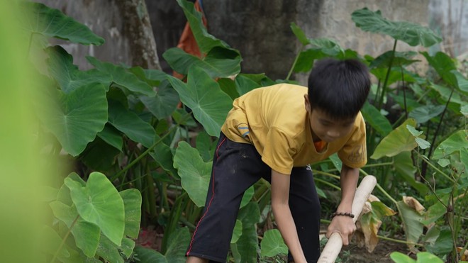 Nhật Đình: Cậu bé tự đào khoai ăn qua ngày, ước lớn nhanh để cứu cha - Ảnh 1.