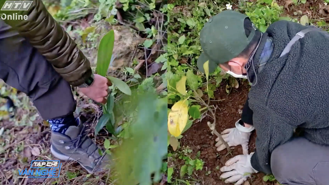 100 ngày xuyên Việt và khát vọng "A little Vietnam" - Tạp chí văn nghệ - Ảnh 1.