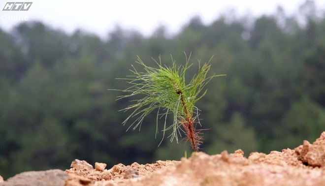 100 ngày xuyên Việt và khát vọng "A little Vietnam" - Tạp chí văn nghệ - Ảnh 6.
