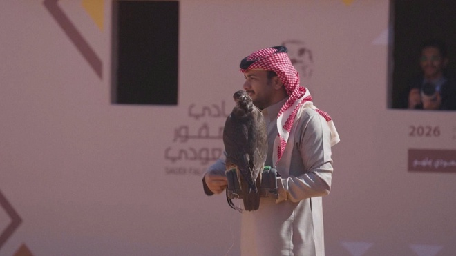 Thi nuôi và huấn luyện chim ưng tại Ả rập Xê-út - Ảnh 2.