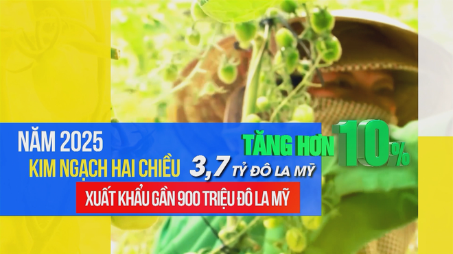 Vươn khơi ngày 11/1/2026 I Từ ngày 1/4, TP. Hồ Chí Minh bắt đầu tiến hành tổng điều tra kinh tế năm 2026 - Ảnh 4.