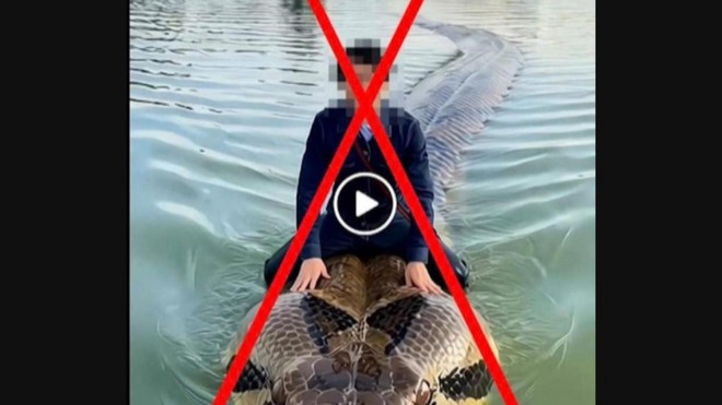 Pháp luật xử lý nghiêm hành vi phát tán thông tin sai sự thật - Ảnh 2.