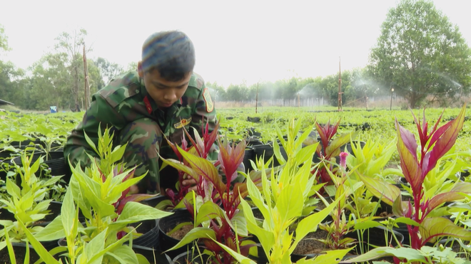 Đại đội Pháo binh 40 vượt nắng gió thao trường, chăm 500 chậu hoa đón Tết - Ảnh 5.