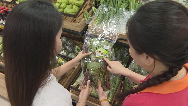 Thời sự HTV ngày 11/1/2026 | - Ảnh 7.