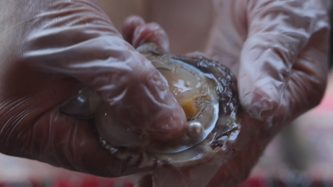 Độc đáo trang trại ngọc trai nổi gìn giữ "kho báu" truyền thống của UAE - Ảnh 3.