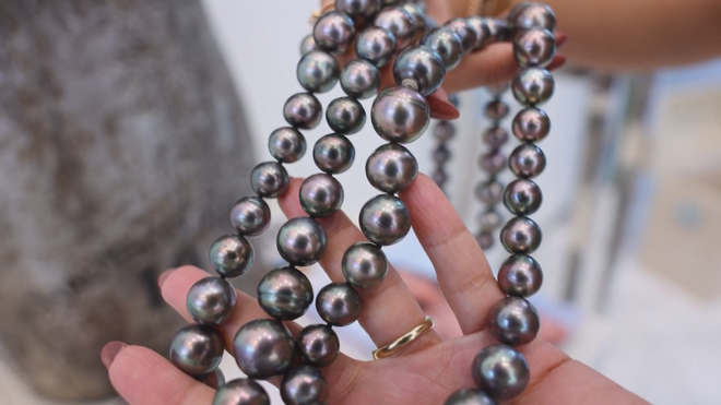 Độc đáo trang trại ngọc trai nổi gìn giữ "kho báu" truyền thống của UAE - Ảnh 4.