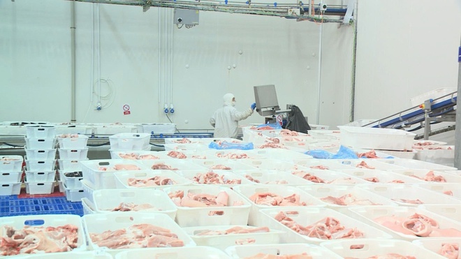 Sản xuất sôi động trở lại, doanh nghiệp tăng tốc từ những ngày đầu năm 2026 - Ảnh 2.