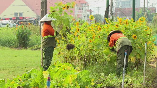 Không gian ven sông Sài Gòn thay áo mới - Ảnh 1.