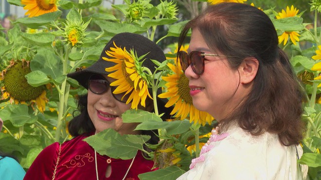 Không gian ven sông Sài Gòn thay áo mới - Ảnh 5.