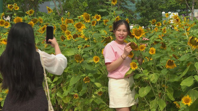 Không gian ven sông Sài Gòn thay áo mới - Ảnh 4.