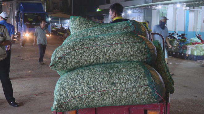 Khu bán kiệu lớn nhất tại TP. Hồ Chí Minh vào mùa Tết: Đa dạng nguồn cung, ổn định giá cả - Ảnh 4.