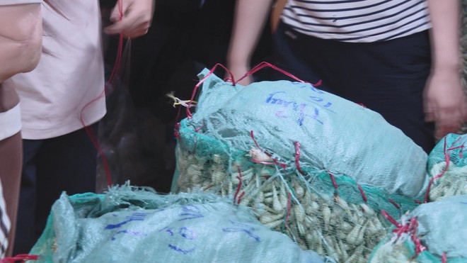 Khu bán kiệu lớn nhất tại TP. Hồ Chí Minh vào mùa Tết: Đa dạng nguồn cung, ổn định giá cả - Ảnh 3.