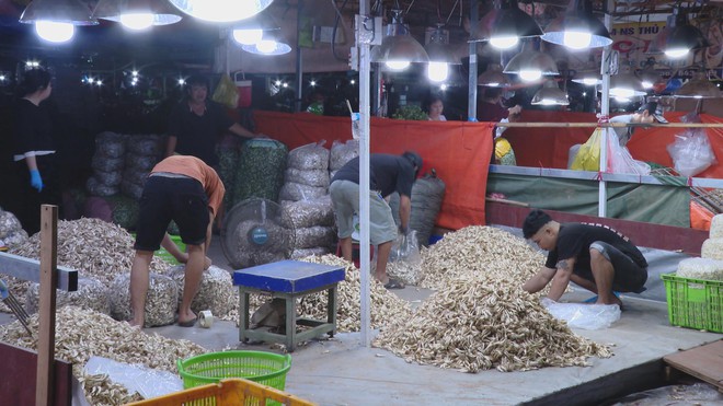Khu bán kiệu lớn nhất tại TP. Hồ Chí Minh vào mùa Tết: Đa dạng nguồn cung, ổn định giá cả - Ảnh 2.