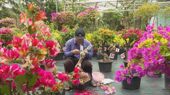 60 Giây ngày 15/1/2026 | Lễ hội sắc xuân 4 miền hội tụ ở vườn hoa Vạn Phúc - Ảnh 6.